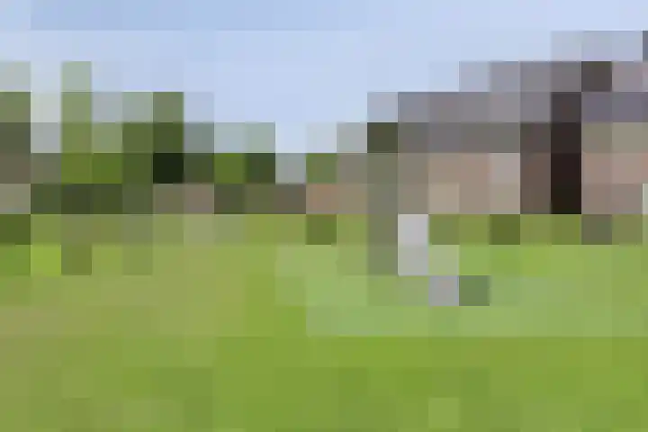 Bindwilg 5 Kampen thumbnail 29