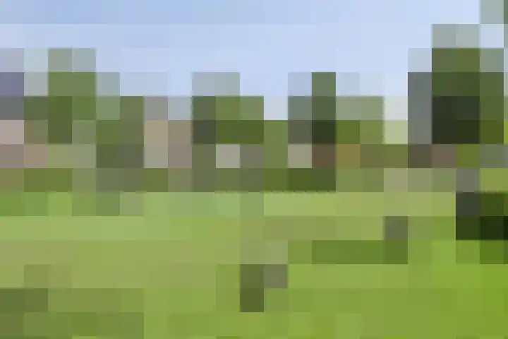 Bindwilg 5 Kampen thumbnail 30