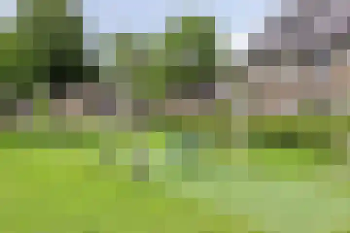 Bindwilg 5 Kampen thumbnail 31