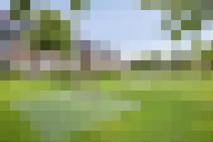 Bindwilg 5 Kampen thumbnail 32