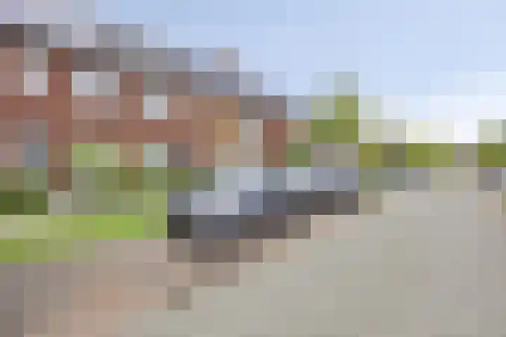 Bindwilg 5 Kampen thumbnail 33