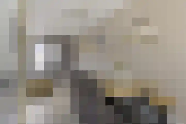 Bindwilg 5 Kampen thumbnail 6