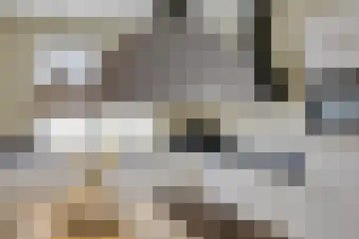 Bindwilg 5 Kampen thumbnail 8