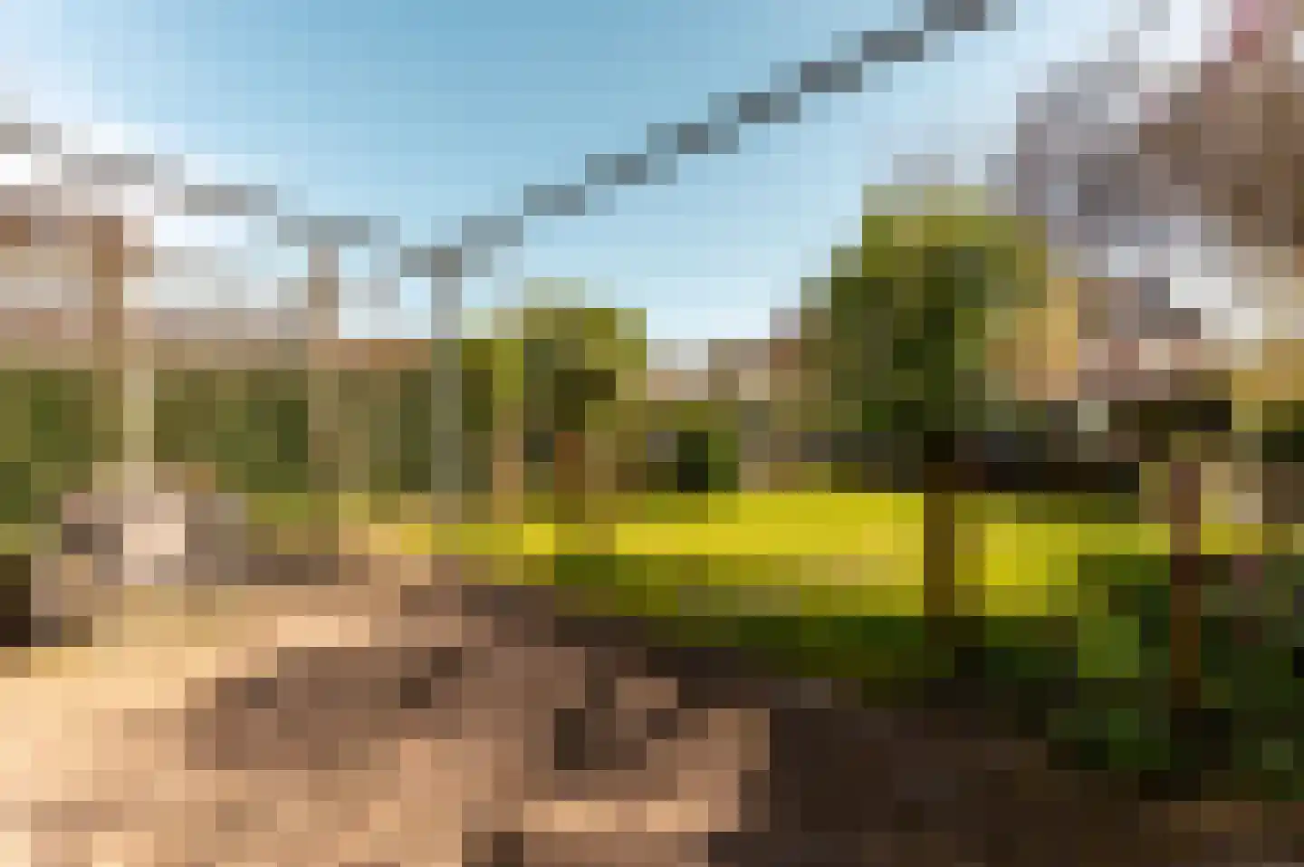 Bingerden 56 Lelystad thumbnail 36