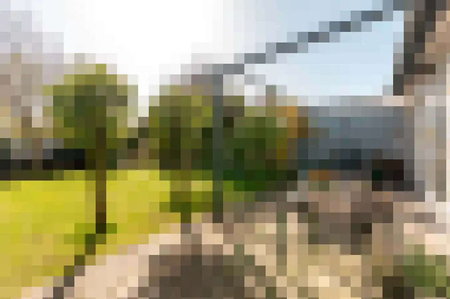 Bingerden 56 Lelystad thumbnail 37