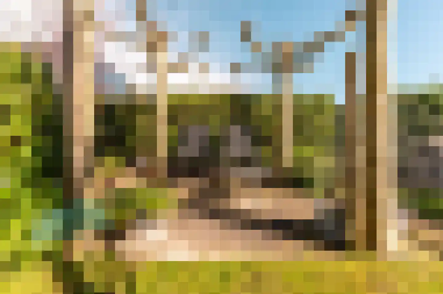 Bingerden 56 Lelystad thumbnail 38