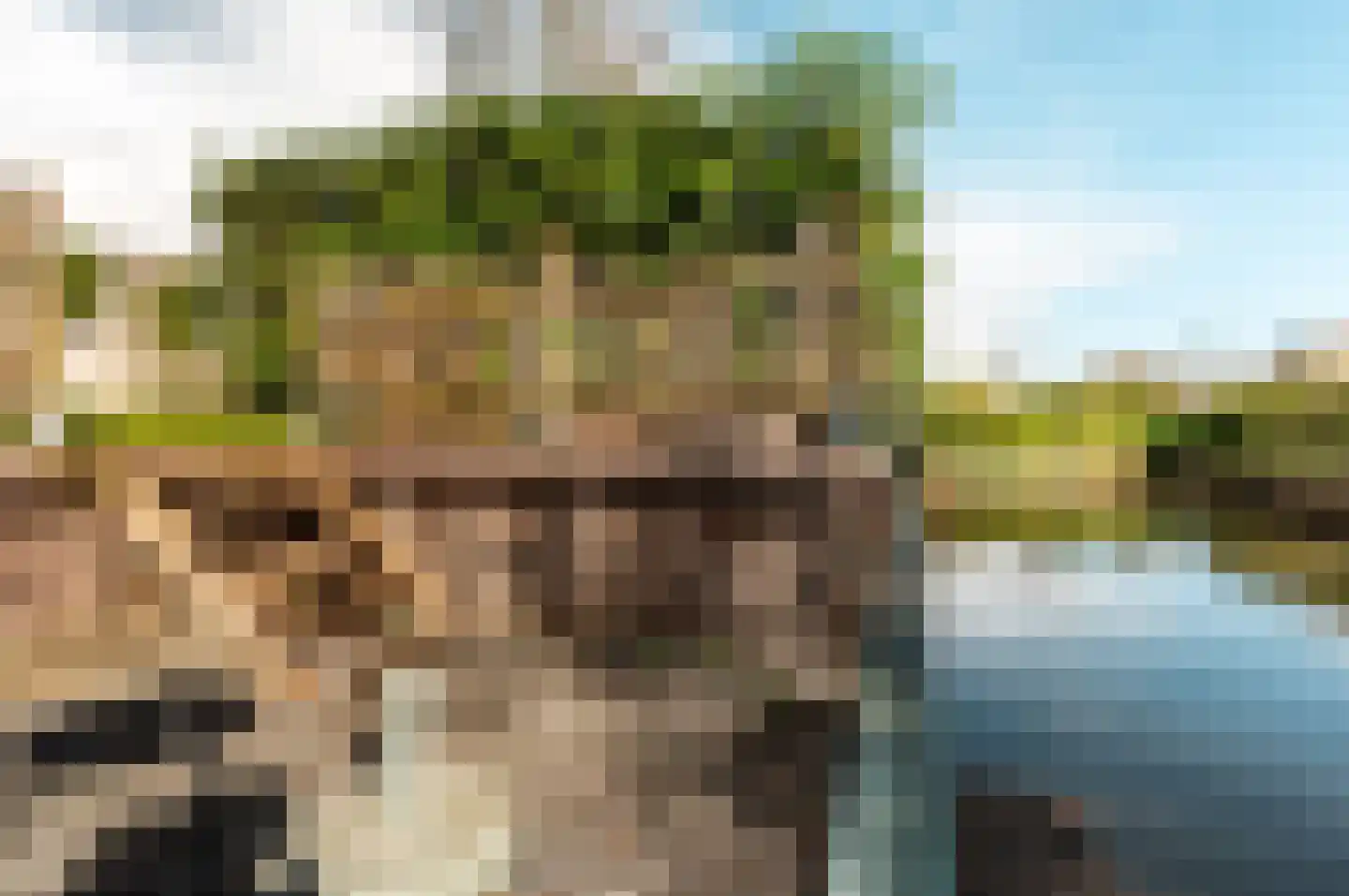 Bingerden 56 Lelystad thumbnail 41