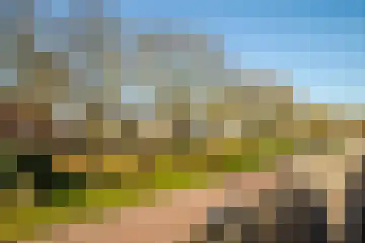 Bingerdenallee 118 Duiven thumbnail 33