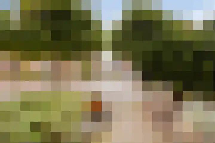 Bingerdenseweg 27 Doesburg thumbnail 7