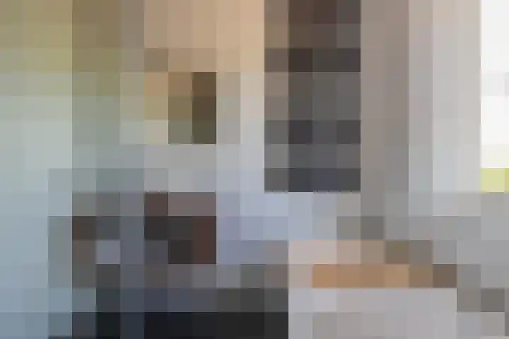 Binnenbaan 69 Gorinchem thumbnail 30