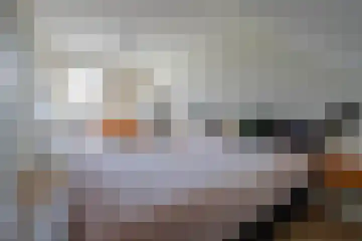 Binnenbaan 69 Gorinchem thumbnail 32