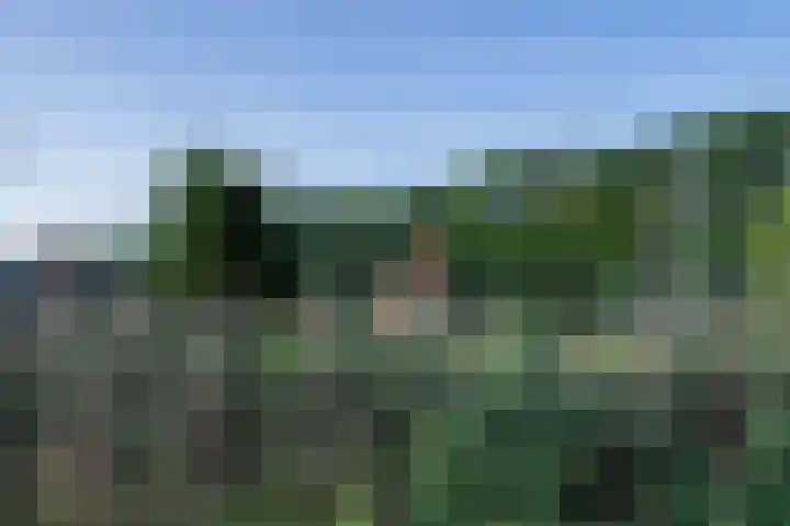 Binnenbaan 69 Gorinchem thumbnail 42