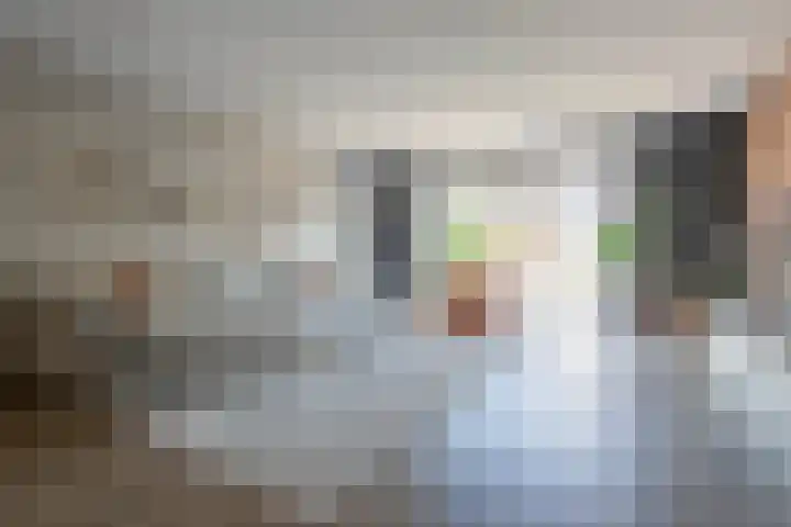 Binnenbaan 69 Gorinchem thumbnail 6