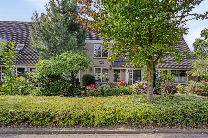 Binnenbans 29 in Mijnsheerenland foto