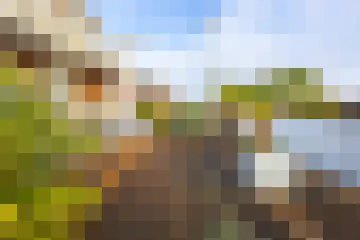 Binnendamseweg 79 Giessenburg thumbnail 35