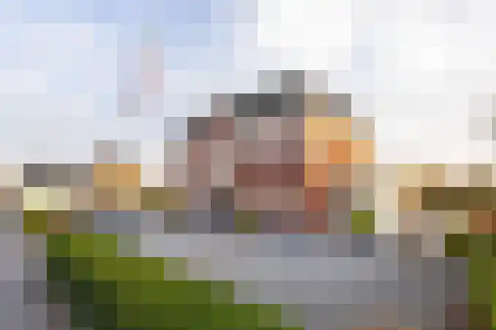 Binnendamseweg 79 Giessenburg thumbnail 39