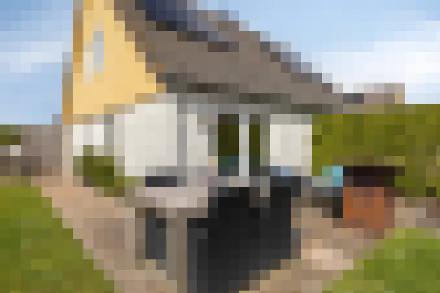 Binnendijk 2 044 Wemeldinge