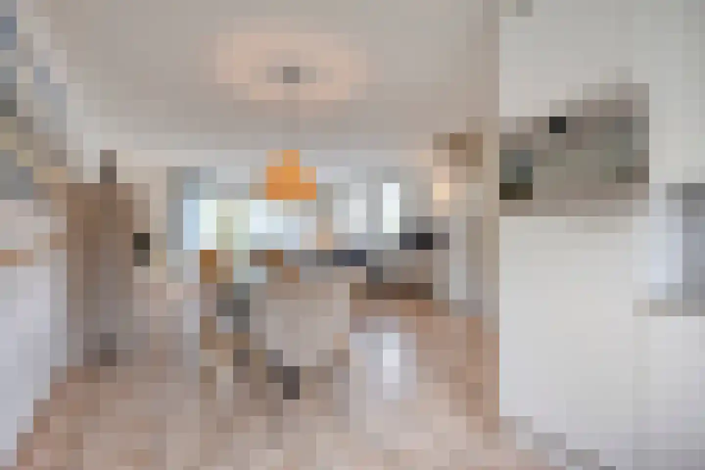 Binnendijk 2 077 Wemeldinge thumbnail 10
