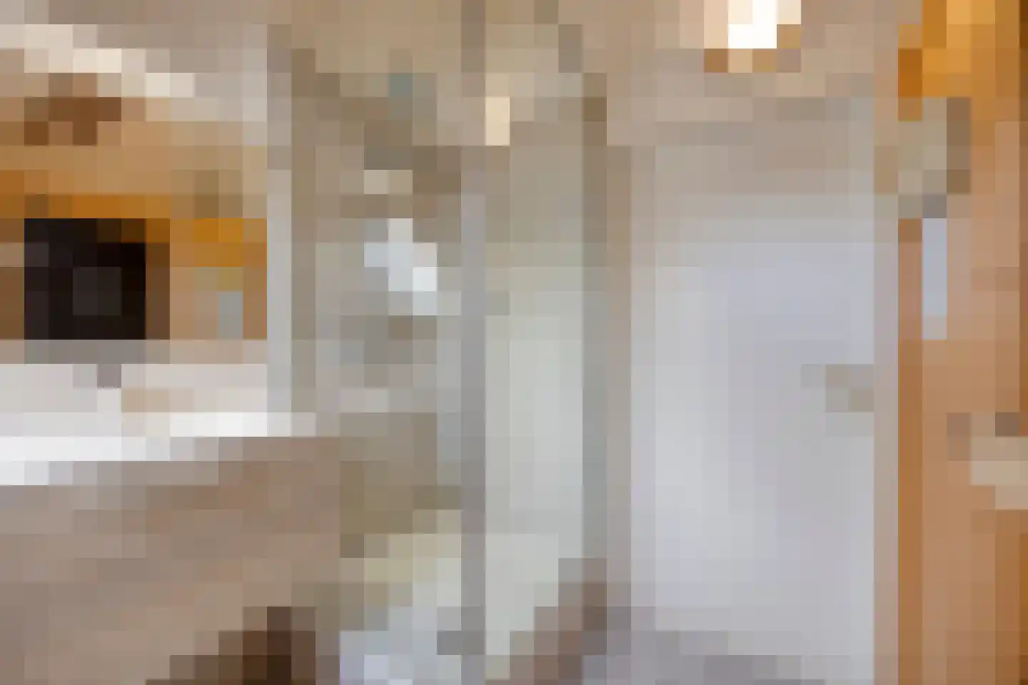 Binnendijk 2 077 Wemeldinge thumbnail 19