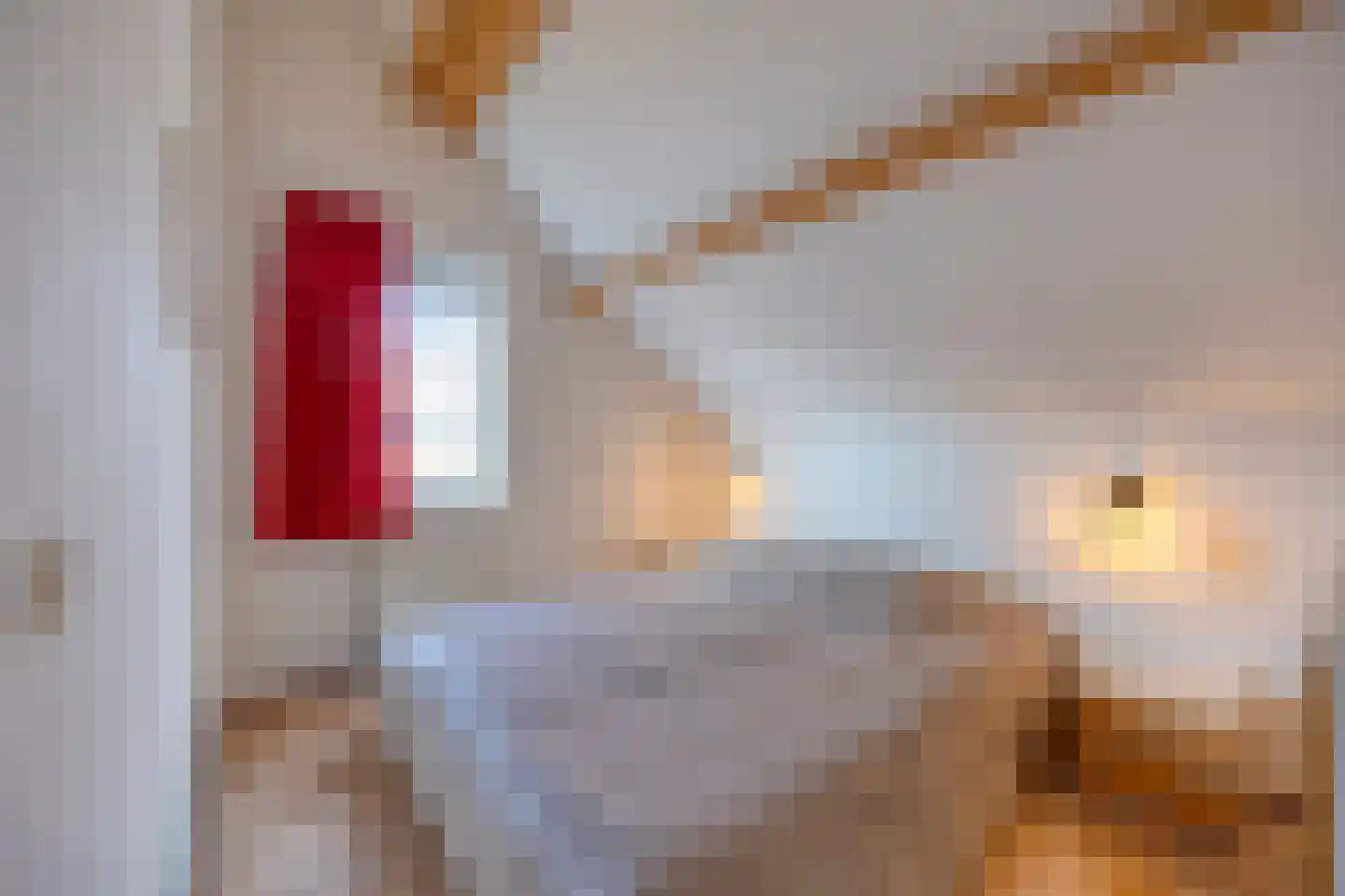 Binnendijk 2 077 Wemeldinge thumbnail 20