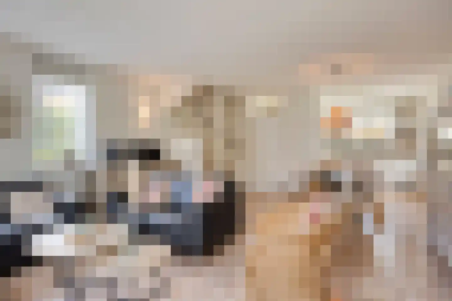 Binnendijk 2 077 Wemeldinge thumbnail 6