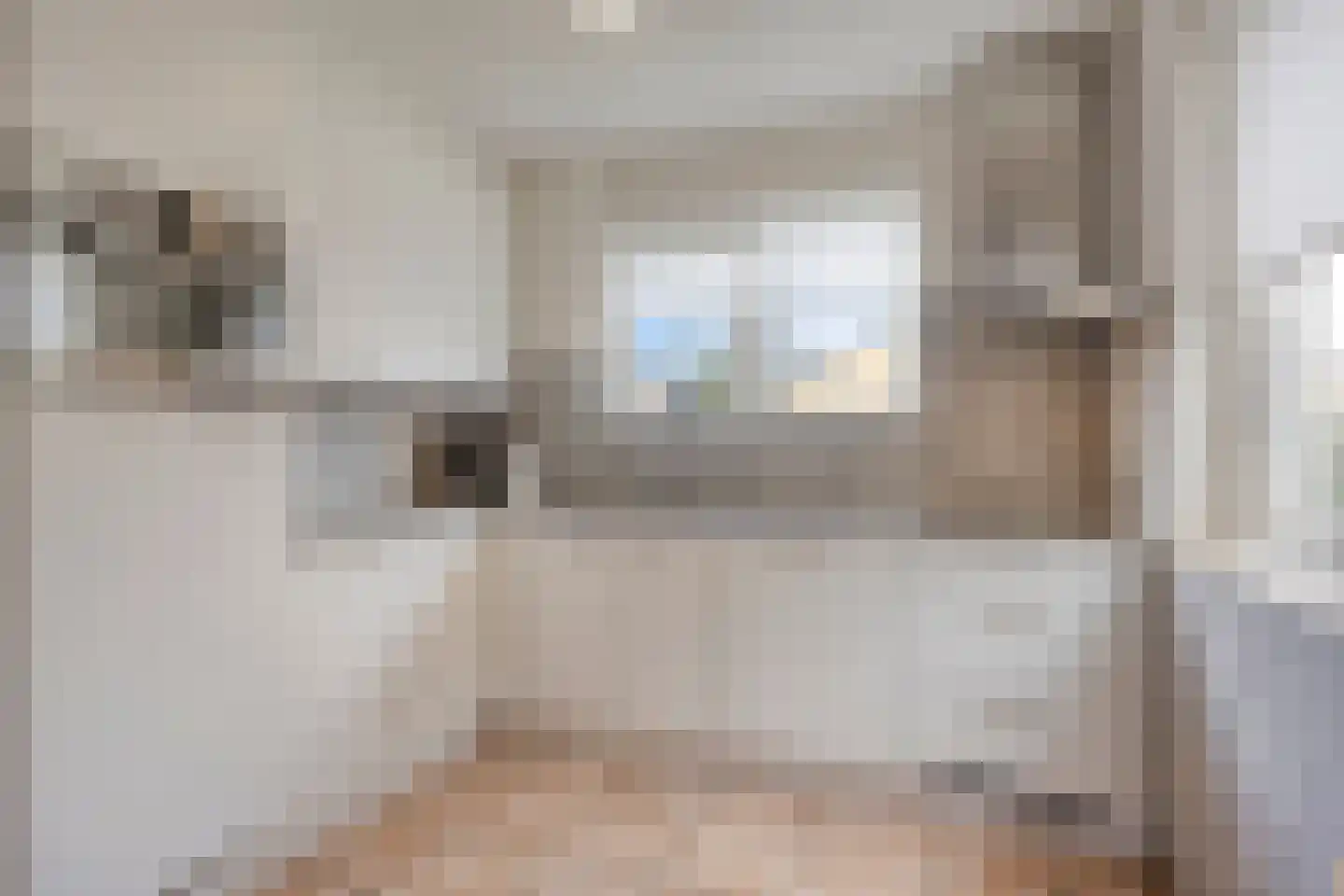 Binnendijk 2 077 Wemeldinge thumbnail 9