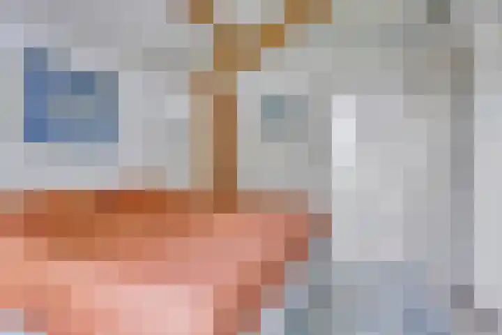 Binnendijk 2 098 Wemeldinge thumbnail 11