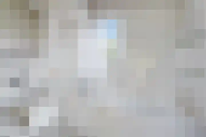 Binnendijk 2 098 Wemeldinge thumbnail 12