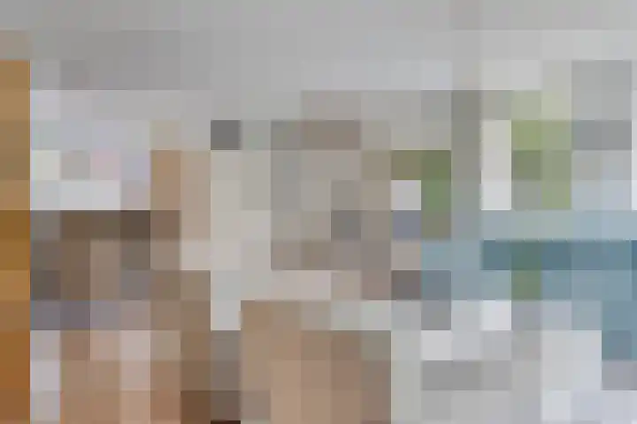 Binnendijk 2 098 Wemeldinge thumbnail 13