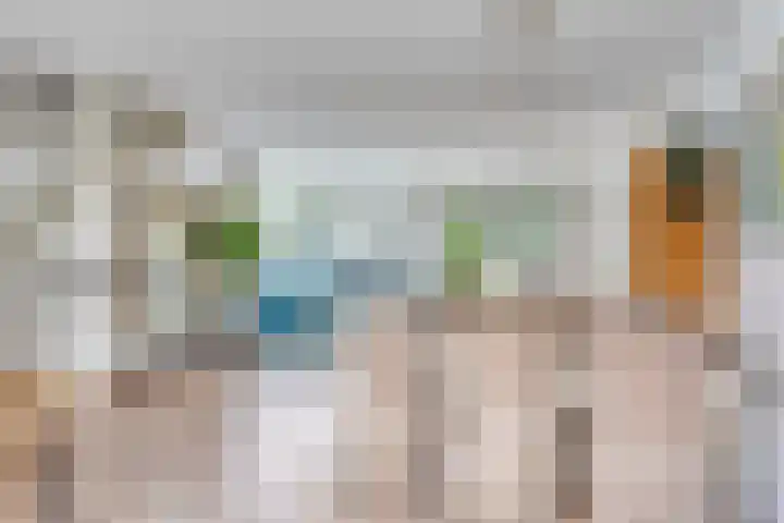 Binnendijk 2 098 Wemeldinge thumbnail 17