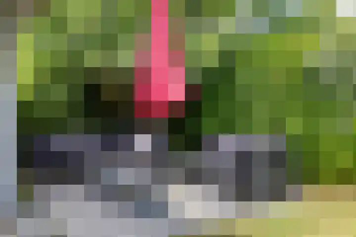 Binnendijk 2 098 Wemeldinge thumbnail 4