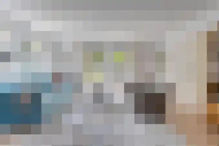 Binnendijk 2 098 Wemeldinge thumbnail 9
