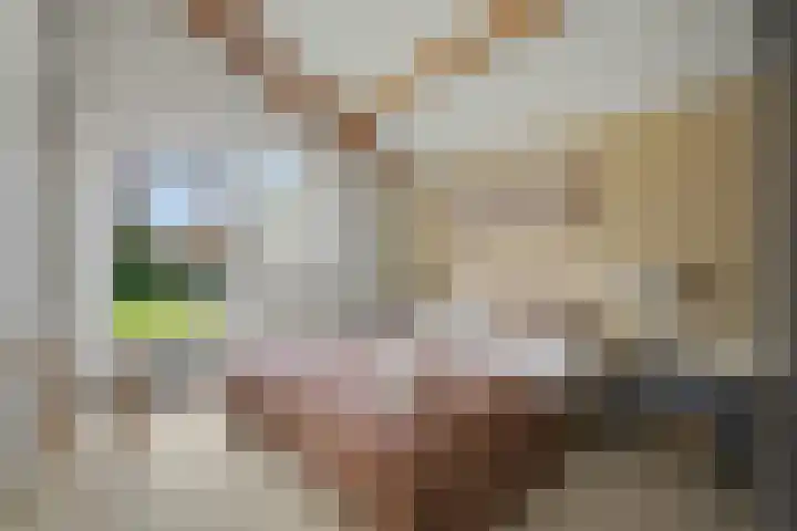 Binnendijk 2 113 Wemeldinge thumbnail 15