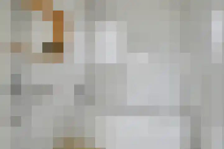 Binnendijk 2 113 Wemeldinge thumbnail 16