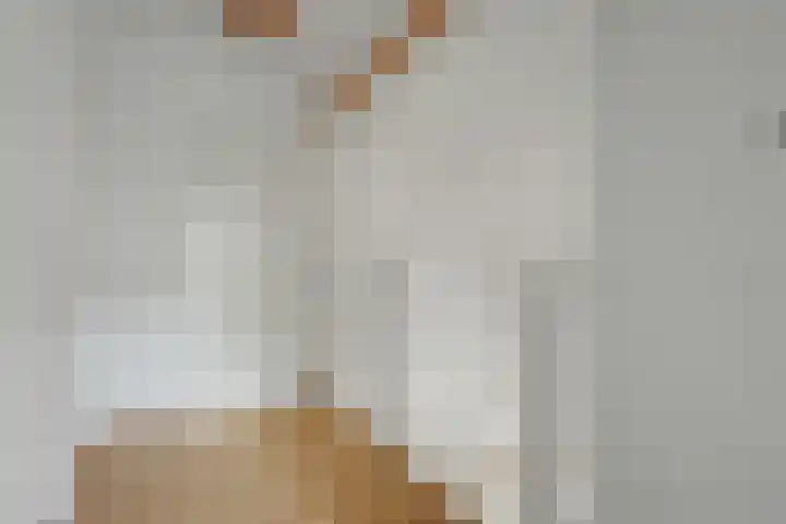 Binnendijk 2 113 Wemeldinge thumbnail 18