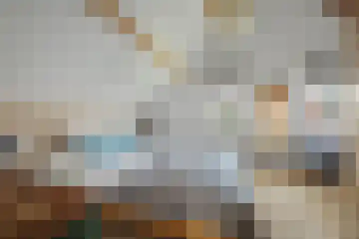 Binnendijk 2 113 Wemeldinge thumbnail 19