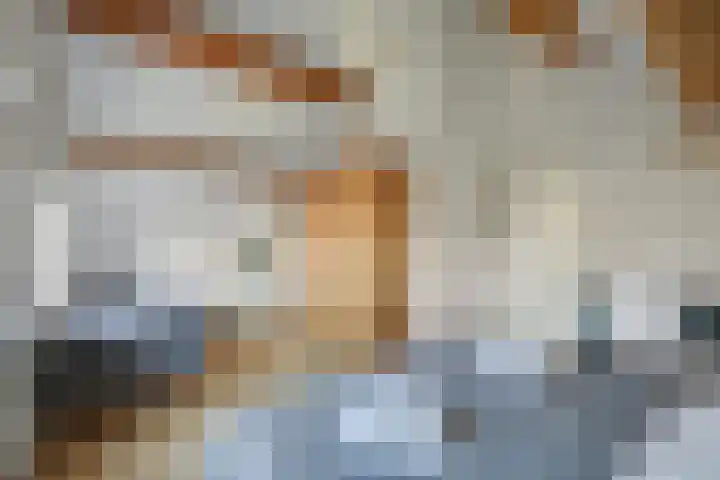 Binnendijk 2 113 Wemeldinge thumbnail 21