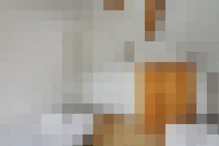 Binnendijk 2 113 Wemeldinge thumbnail 23