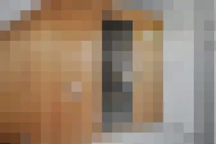 Binnendijk 2 113 Wemeldinge thumbnail 26