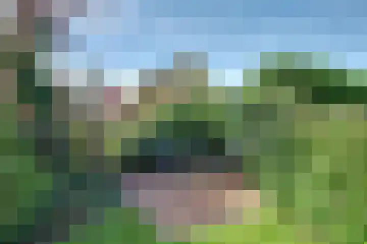 Binnendijk 2 113 Wemeldinge thumbnail 28