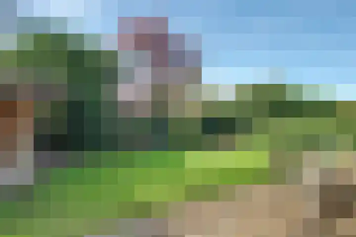 Binnendijk 2 113 Wemeldinge thumbnail 29