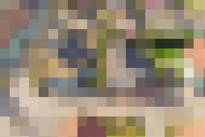 Binnendijk 2 113 Wemeldinge thumbnail 34