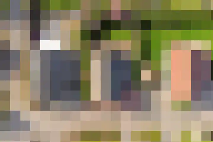Binnendijk 2 113 Wemeldinge thumbnail 35