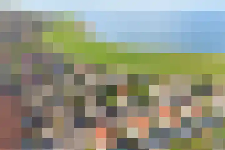 Binnendijk 2 113 Wemeldinge thumbnail 36