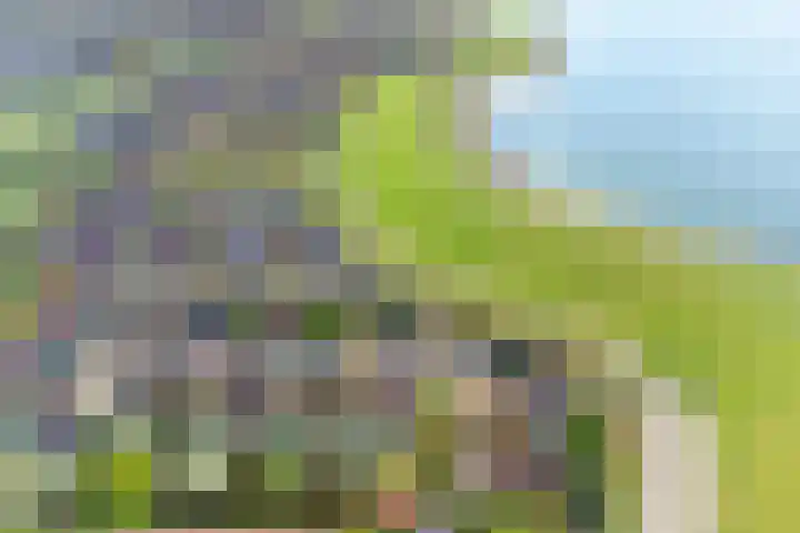 Binnendijk 2 113 Wemeldinge thumbnail 39