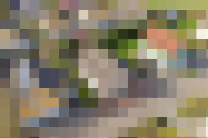 Binnendijk 2 113 Wemeldinge thumbnail 41