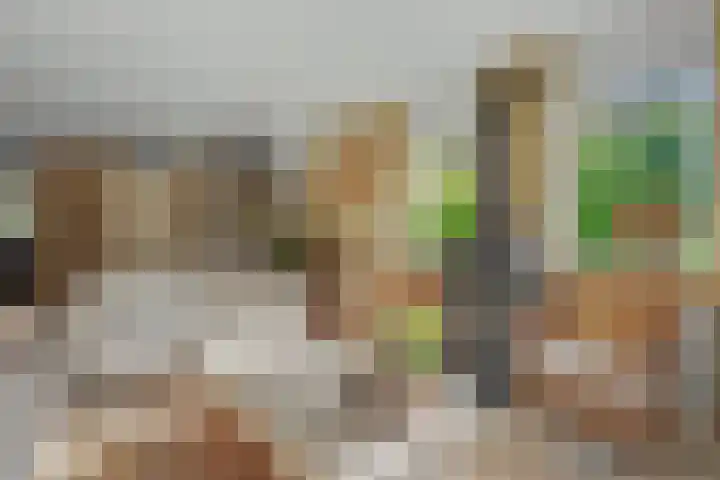 Binnendijk 2 113 Wemeldinge thumbnail 6