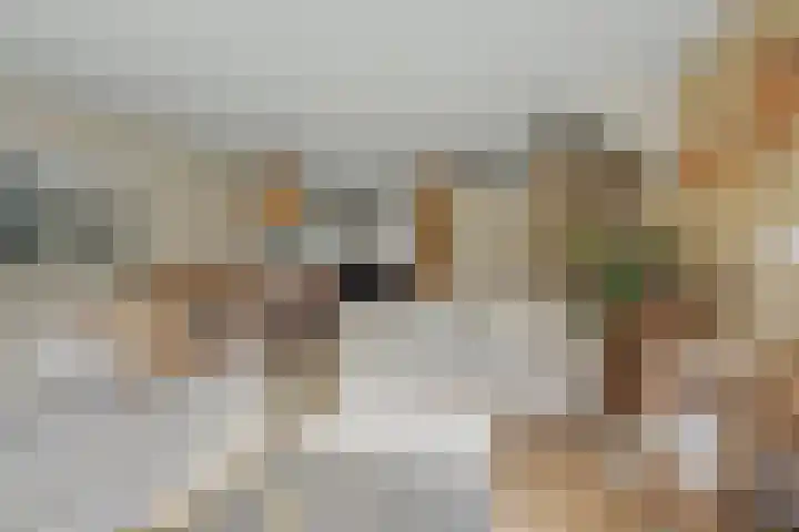 Binnendijk 2 113 Wemeldinge thumbnail 7