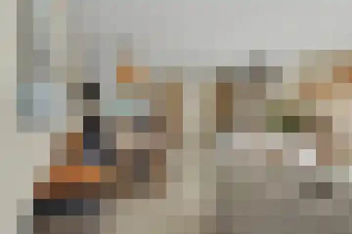 Binnendijk 2 113 Wemeldinge thumbnail 8