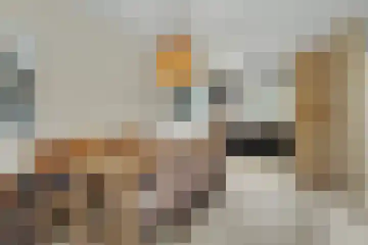 Binnendijk 2 113 Wemeldinge thumbnail 9